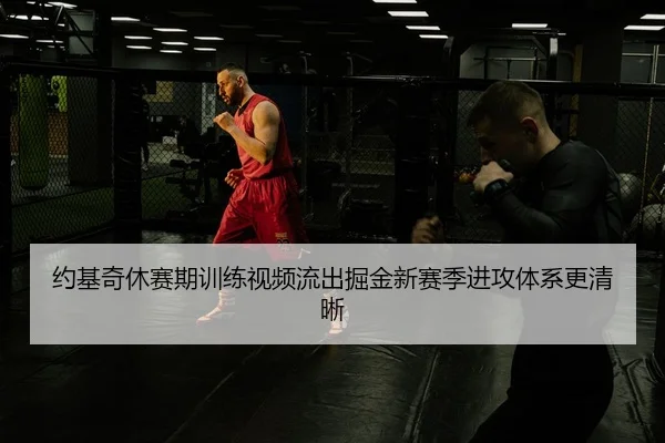 约基奇休赛期训练视频流出掘金新赛季进攻体系更清晰