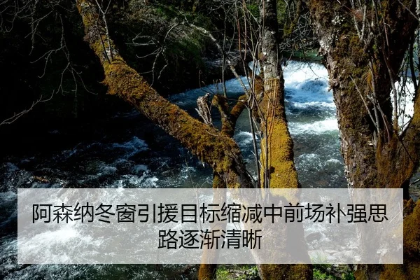 阿森纳冬窗引援目标缩减中前场补强思路逐渐清晰